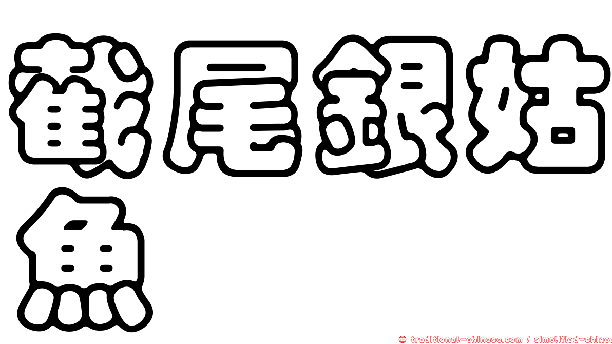 截尾銀姑魚