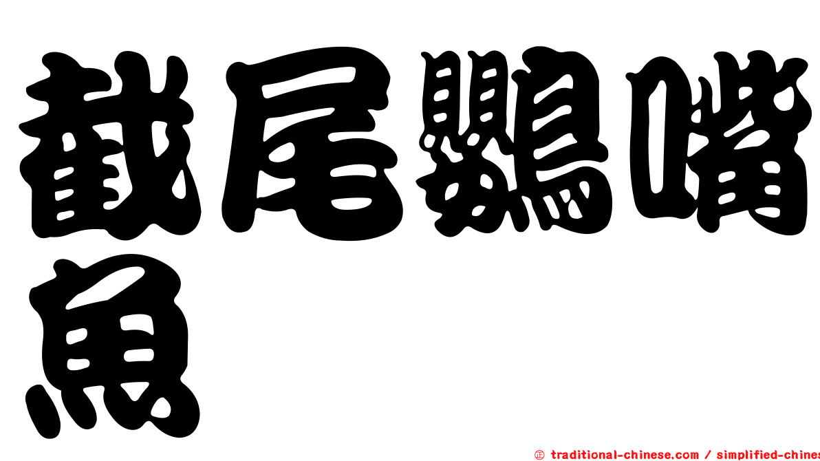 截尾鸚嘴魚
