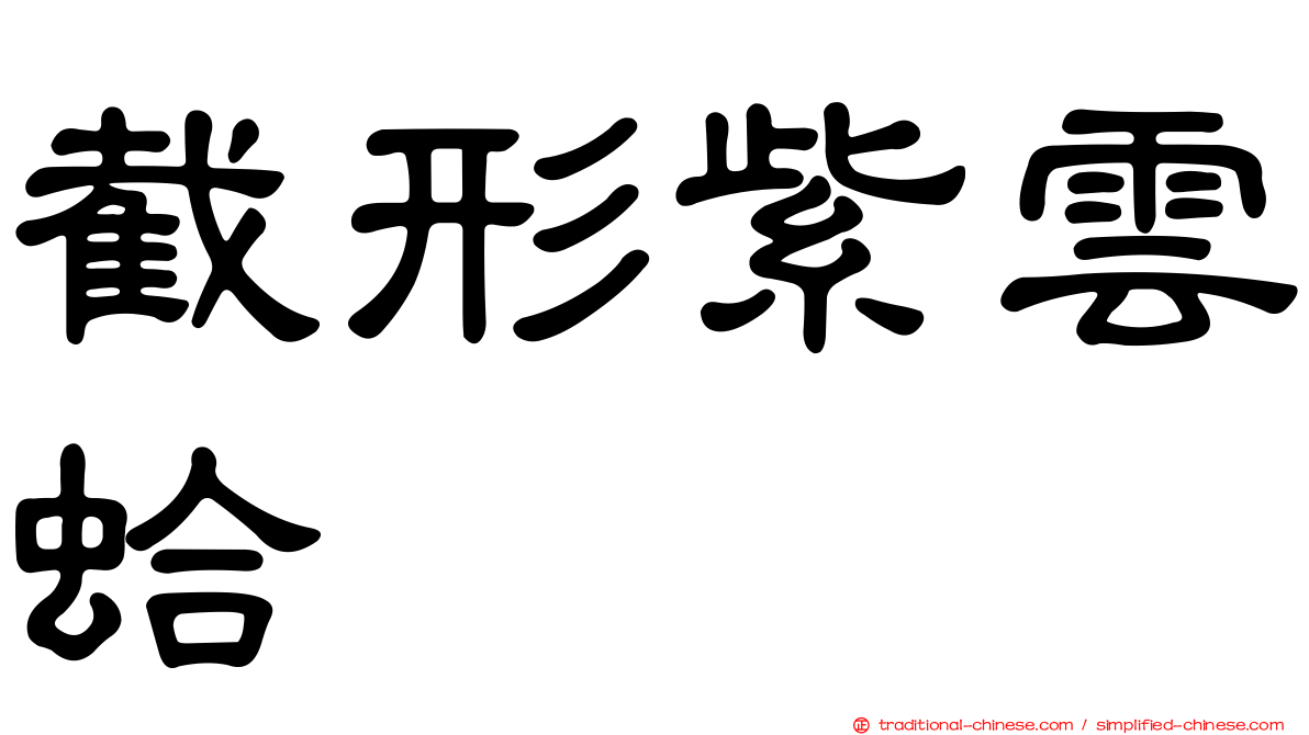 截形紫雲蛤
