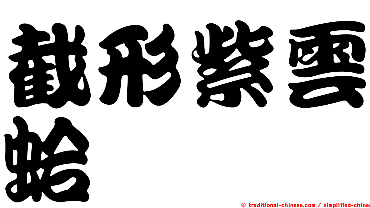 截形紫雲蛤