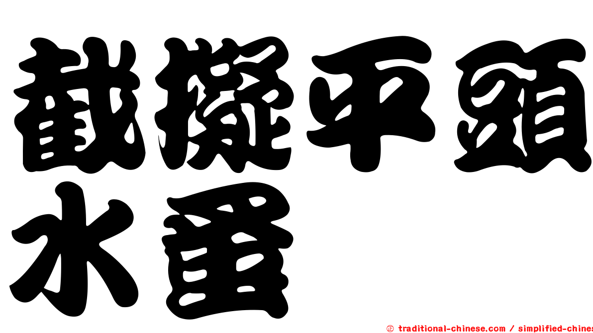 截擬平頭水蚤