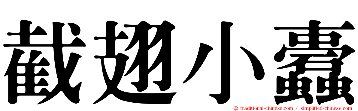 截翅小蠹