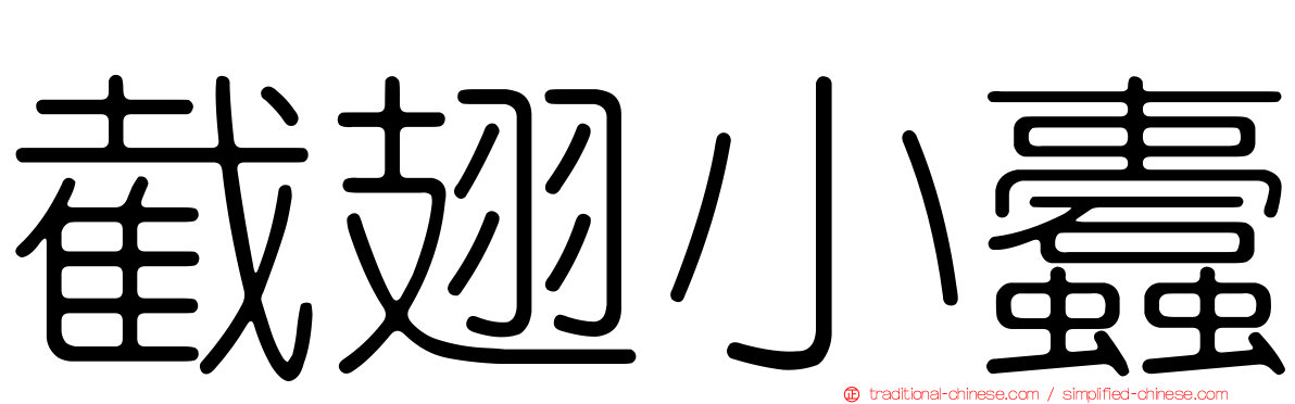 截翅小蠹