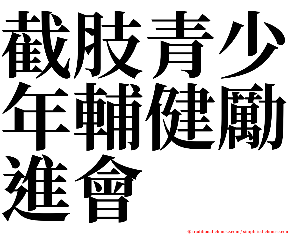 截肢青少年輔健勵進會 serif font