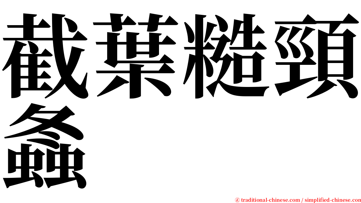 截葉糙頸螽 serif font
