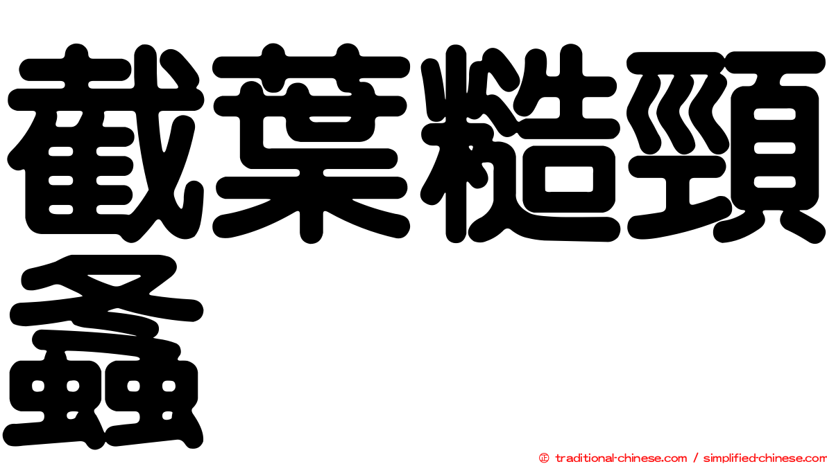 截葉糙頸螽