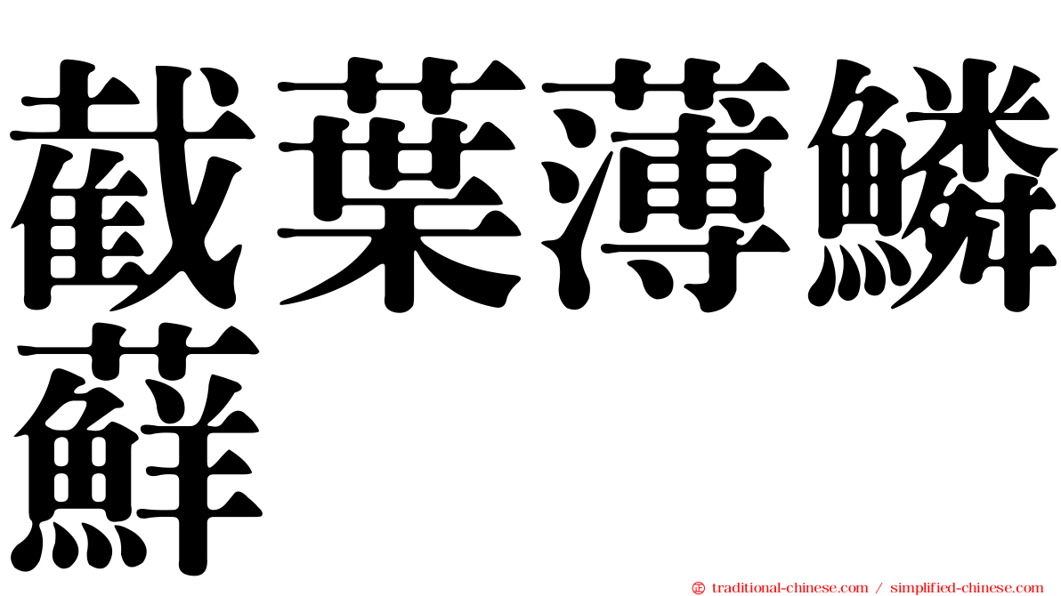 截葉薄鱗蘚