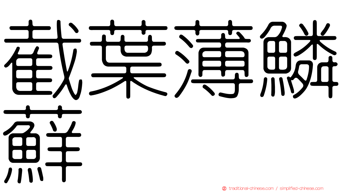 截葉薄鱗蘚