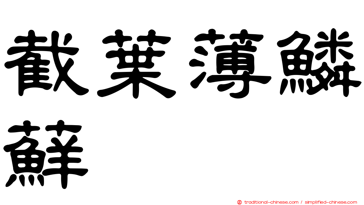 截葉薄鱗蘚