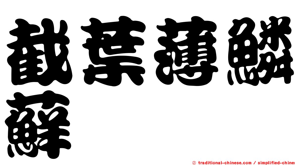 截葉薄鱗蘚