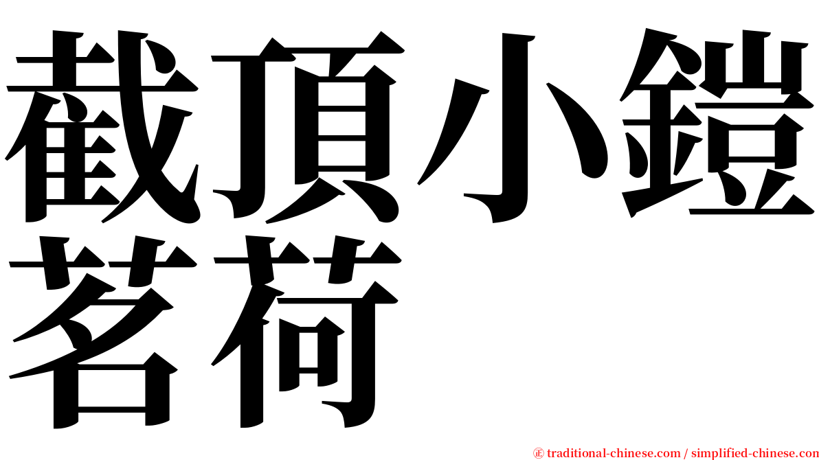 截頂小鎧茗荷 serif font