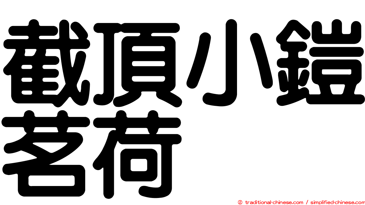 截頂小鎧茗荷