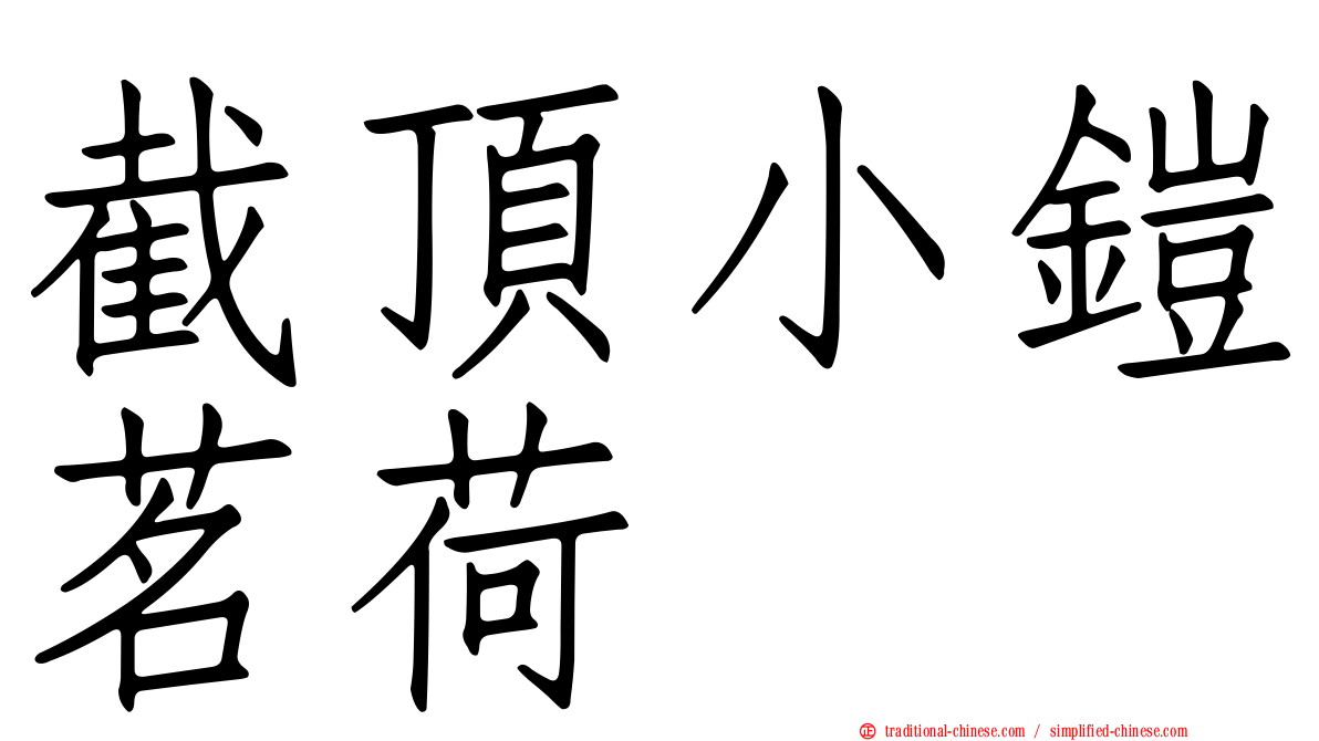 截頂小鎧茗荷