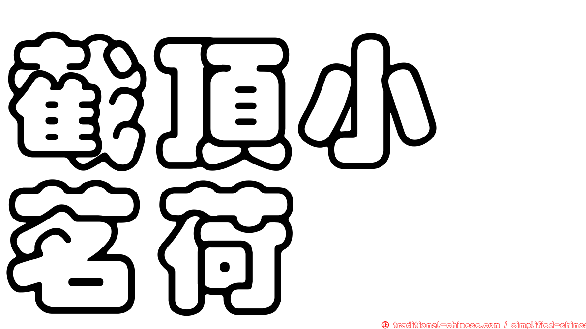 截頂小鎧茗荷
