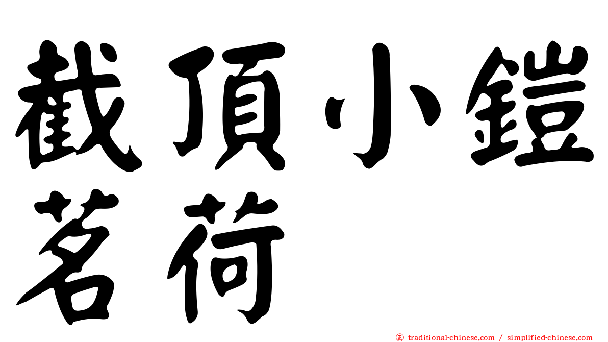 截頂小鎧茗荷