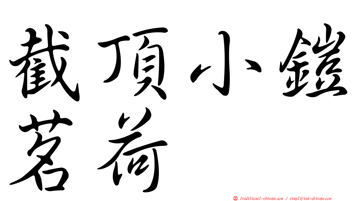 截頂小鎧茗荷