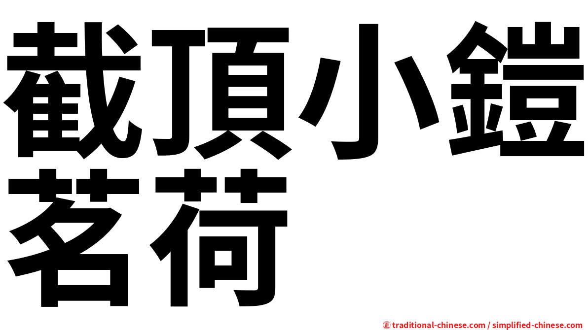 截頂小鎧茗荷