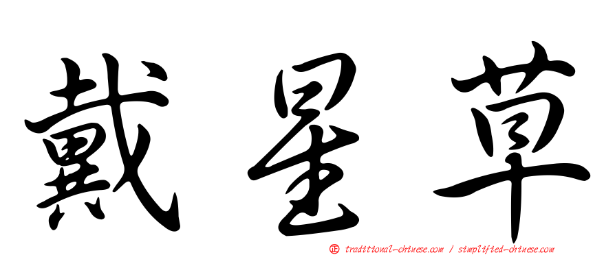 戴星草