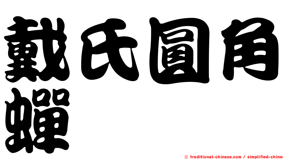 戴氏圓角蟬