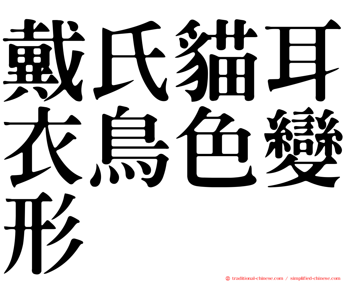 戴氏貓耳衣鳥色變形