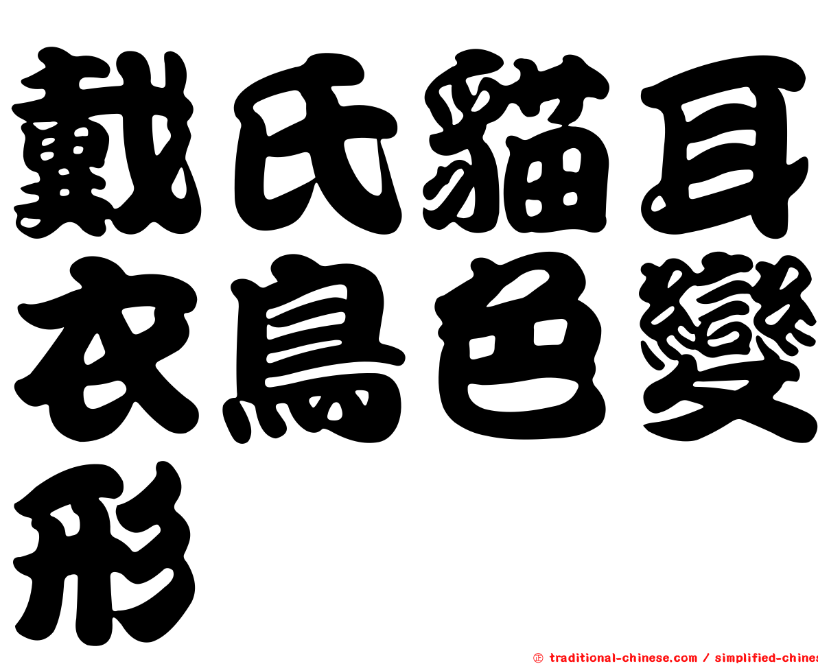 戴氏貓耳衣鳥色變形