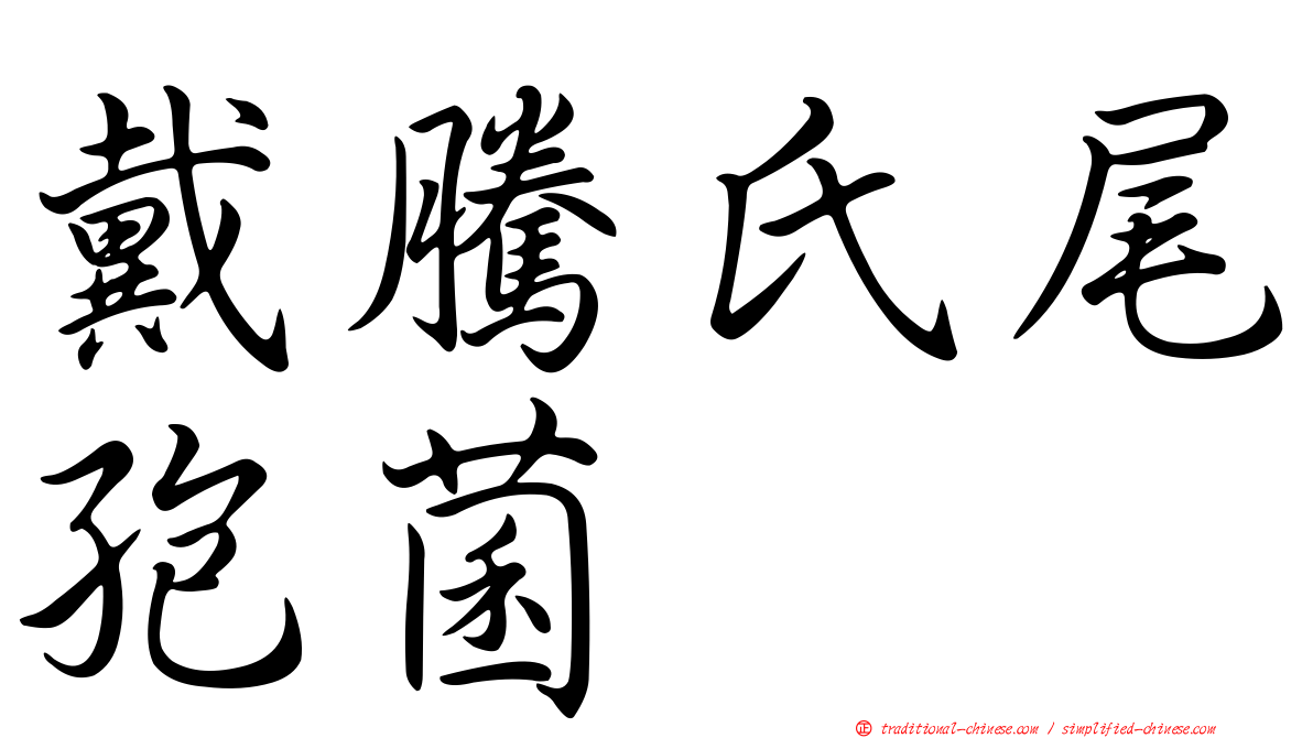 戴騰氏尾孢菌