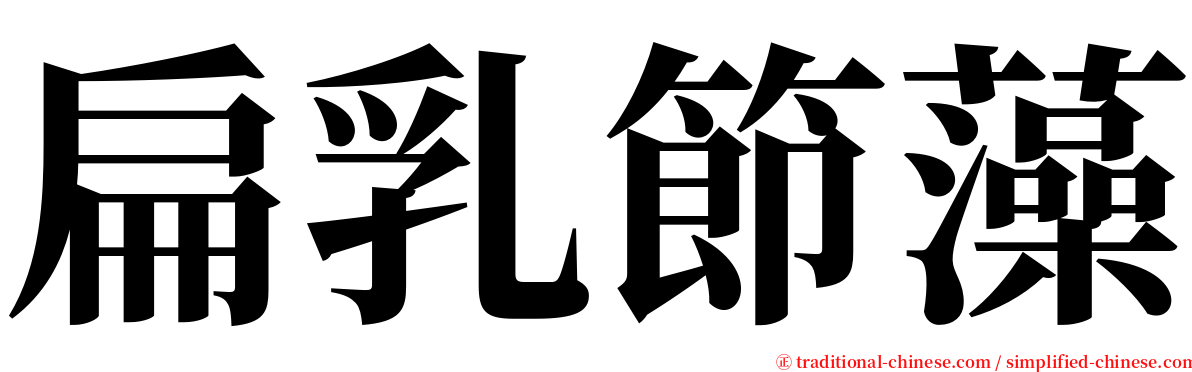 扁乳節藻 serif font