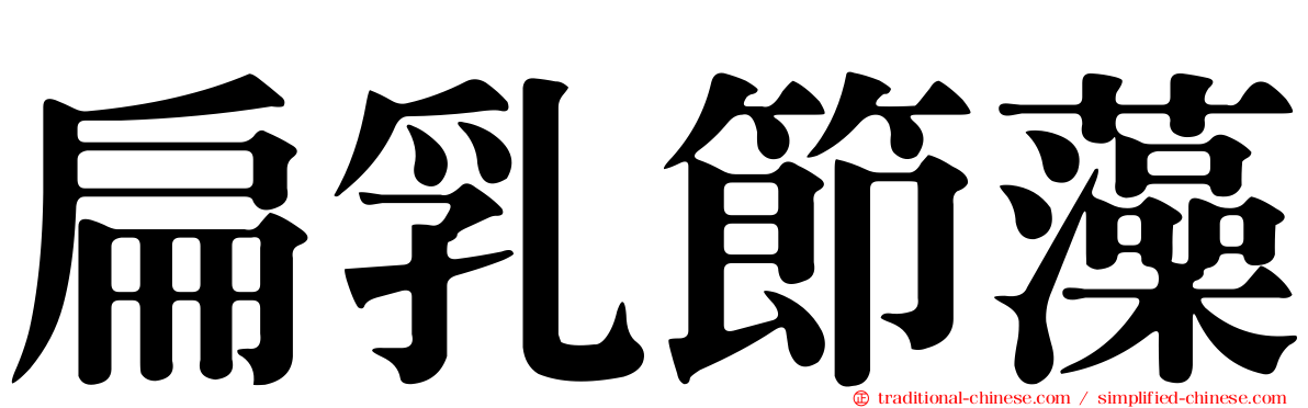 扁乳節藻