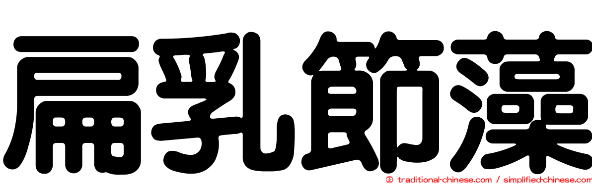 扁乳節藻