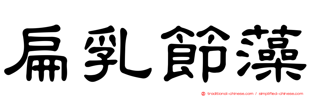 扁乳節藻