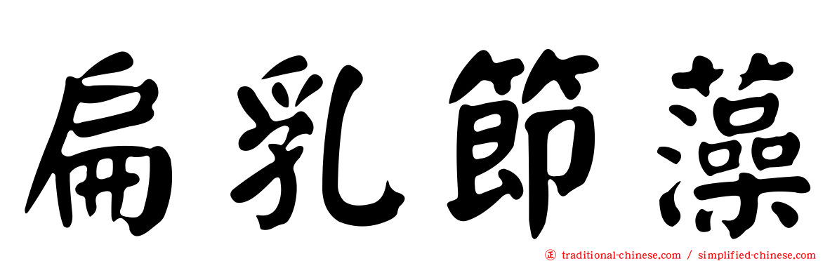 扁乳節藻
