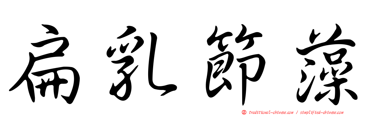 扁乳節藻