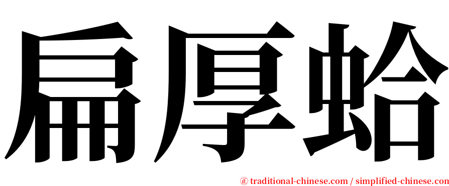 扁厚蛤 serif font