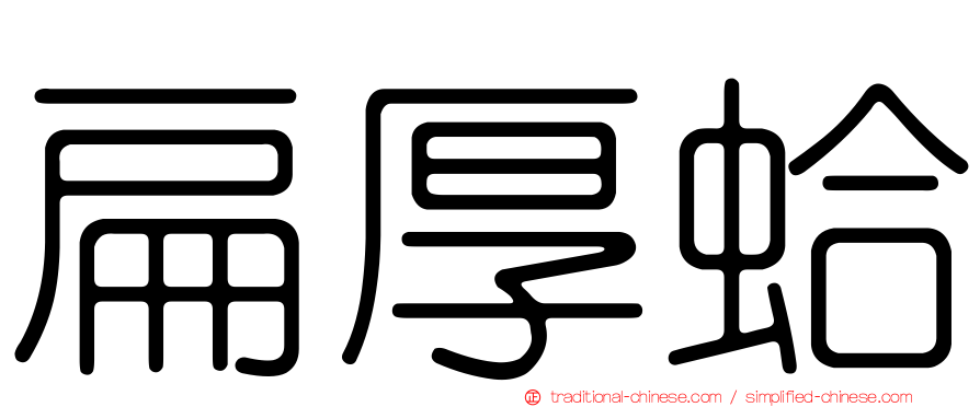 扁厚蛤