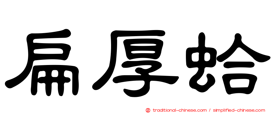 扁厚蛤