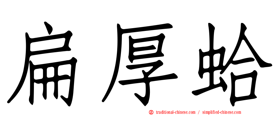 扁厚蛤