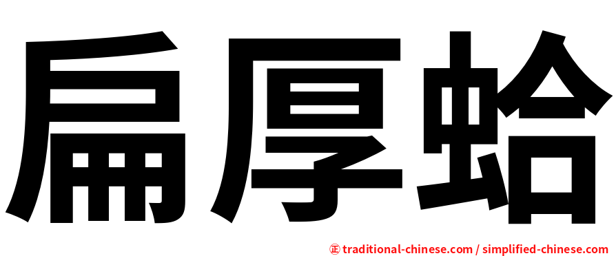 扁厚蛤