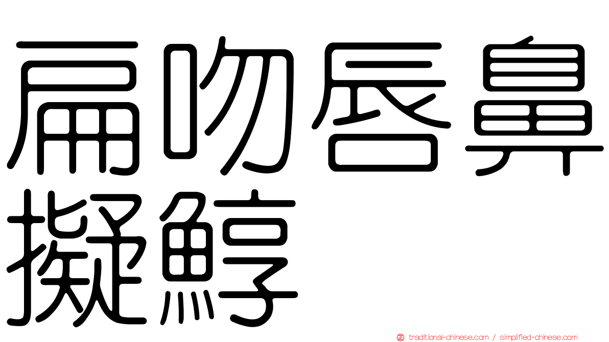 扁吻唇鼻擬鯙