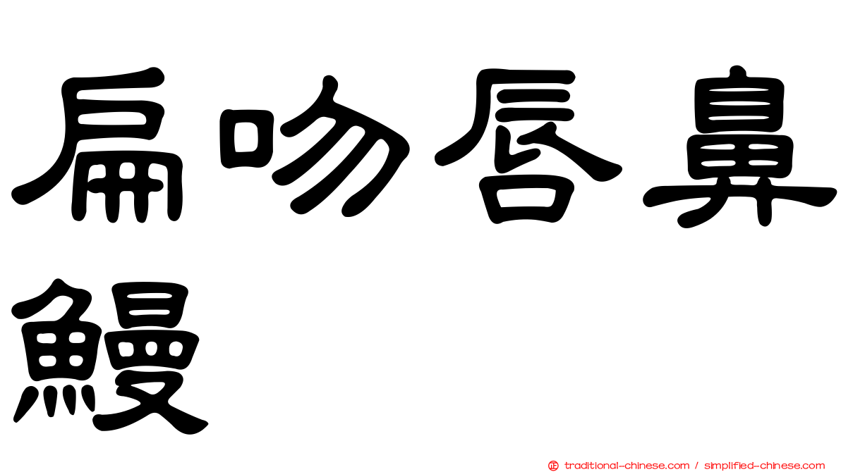 扁吻唇鼻鰻
