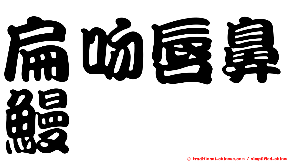 扁吻唇鼻鰻