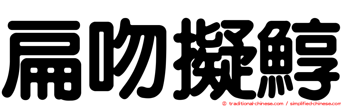 扁吻擬鯙