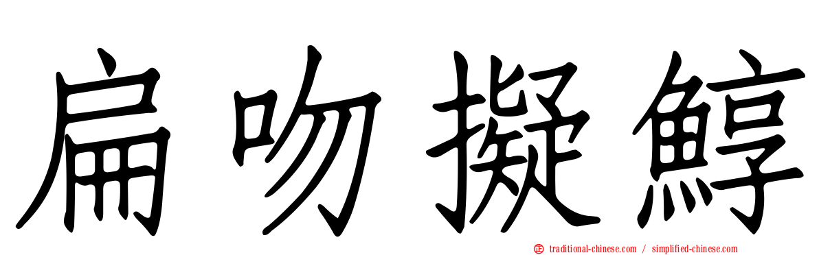 扁吻擬鯙