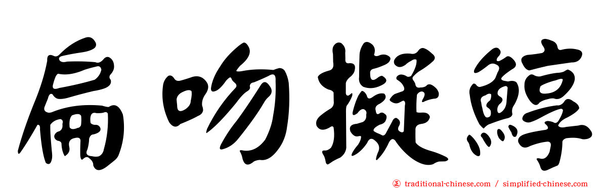 扁吻擬鯙