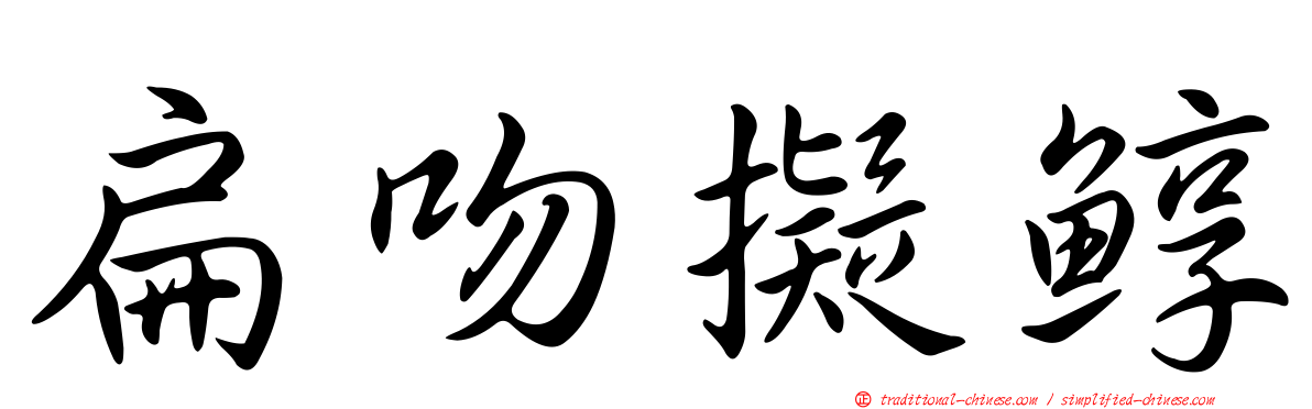 扁吻擬鯙