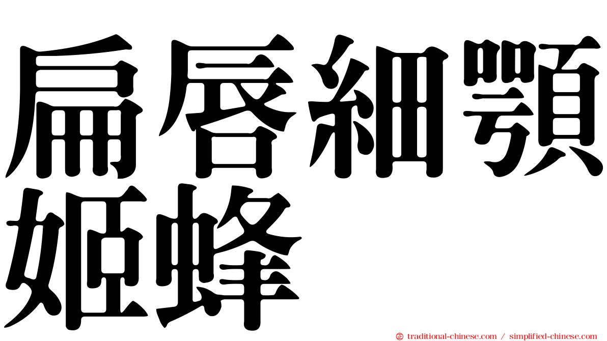 扁唇細顎姬蜂