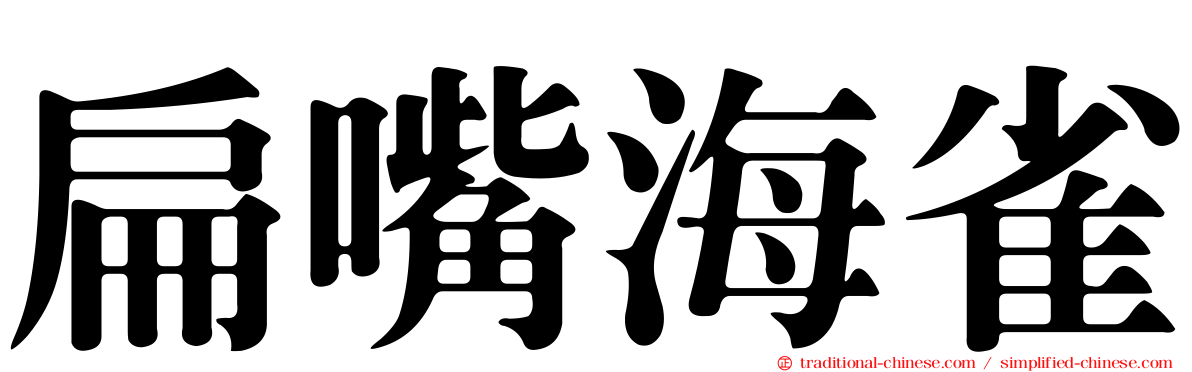 扁嘴海雀