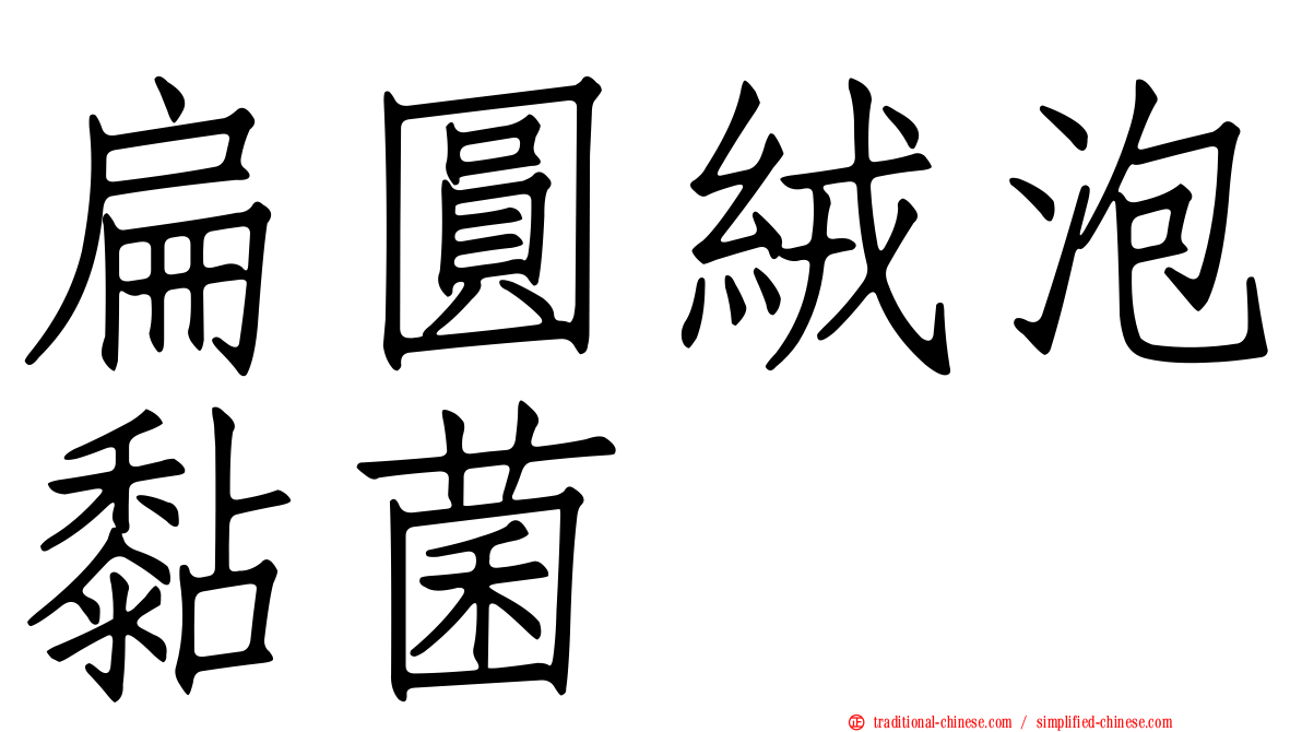 扁圓絨泡黏菌