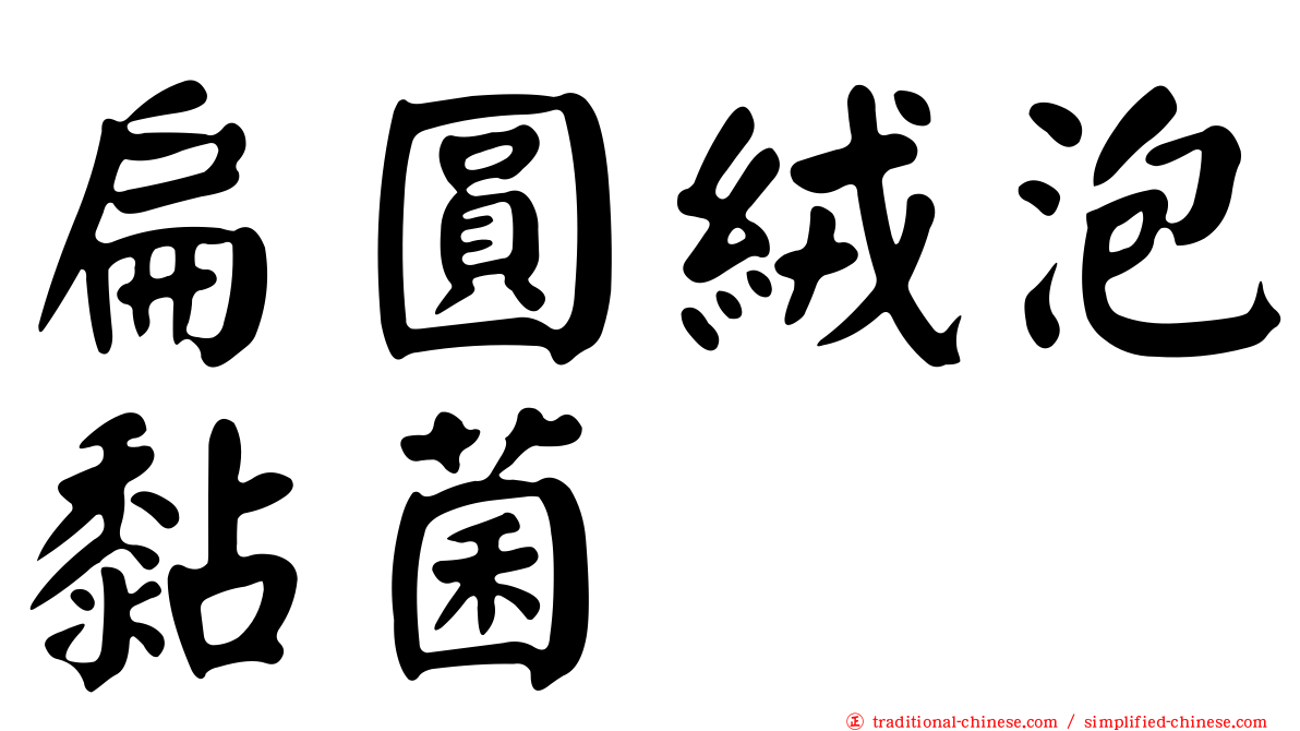 扁圓絨泡黏菌
