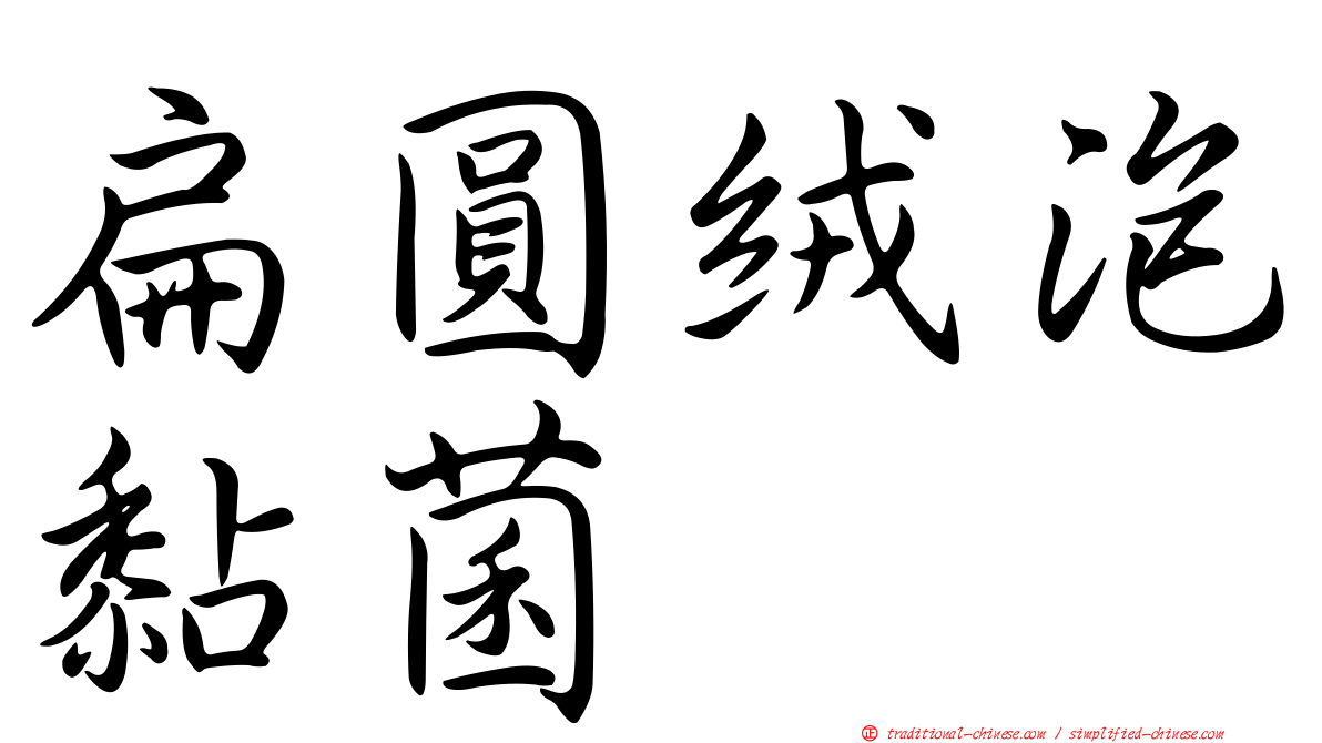 扁圓絨泡黏菌