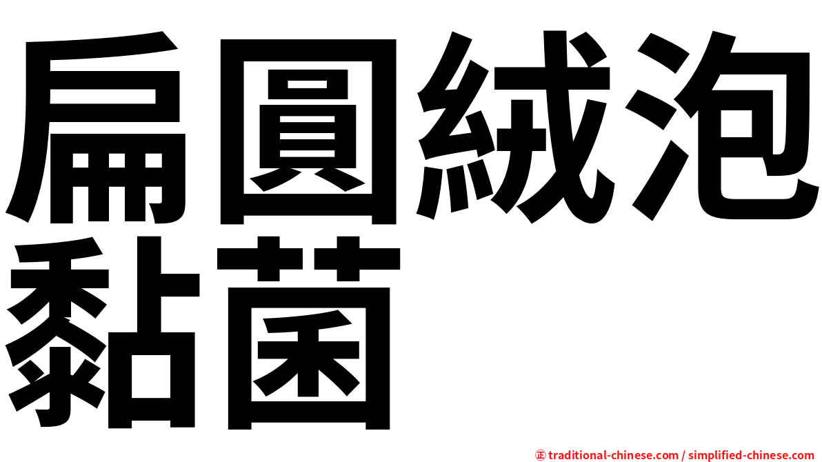 扁圓絨泡黏菌